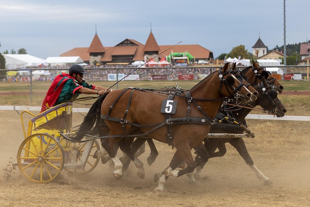 持不懈的训 持不懈的训