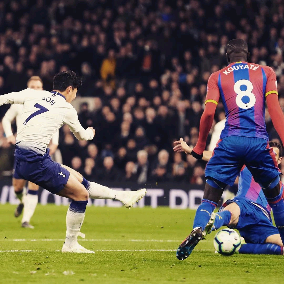 他总能根据 他总能根据